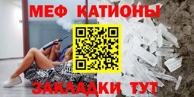 бошки Кингисепп