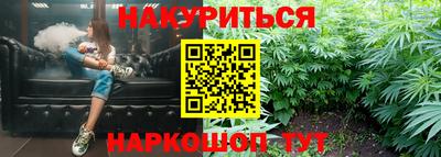 бошки Кингисепп