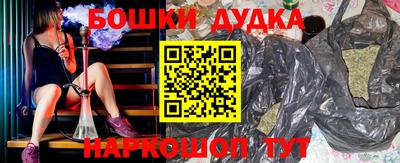 бошки Кингисепп