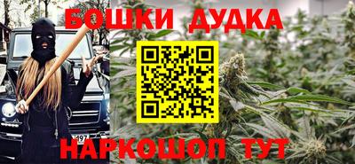 бошки Кингисепп
