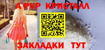 бошки Кингисепп
