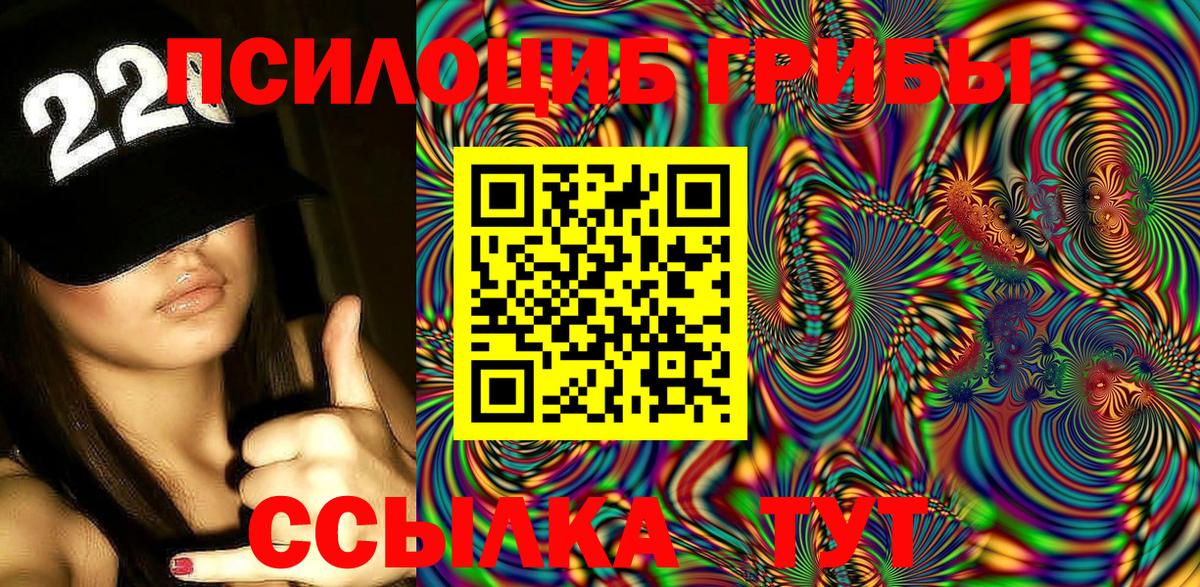 Галлюциногенные грибы Psilocybe  Псилоцибиновые грибы ЛСД  Арзамас  Вход с VPN 