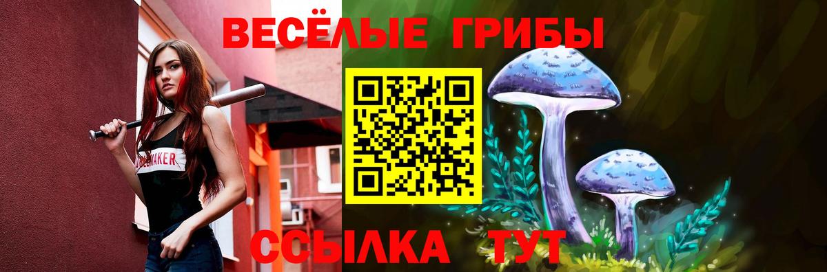 Псилоцибиновые грибы Cubensis Арзамас